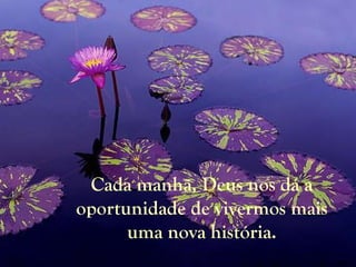 Cada manhã, Deus nos dá a oportunidade de vivermos mais uma nova história. 