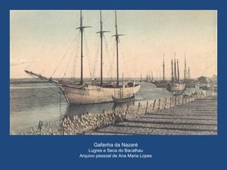 Gafanha da Nazaré
Lugres e Seca do Bacalhau
Arquivo pessoal de Ana Maria Lopes
 