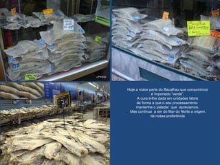 Hoje a maior parte do Bacalhau que consumimos
é importado “verde”.
A cura é-lhe dada em unidades fabris
de forma a que o seu processamento
mantenha o paladar que apreciamos.
Mas continua a ser do Mar do Norte a origem
da nossa preferência
 