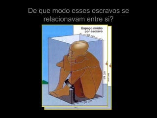 De que modo esses escravos se
    relacionavam entre si?
 