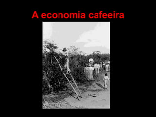 A economia cafeeira
 
