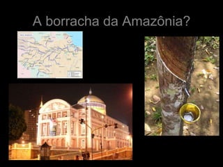 A borracha da Amazônia?
 