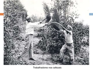 Trabalhadores nos cafezais
 