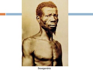 Sexagenário
 