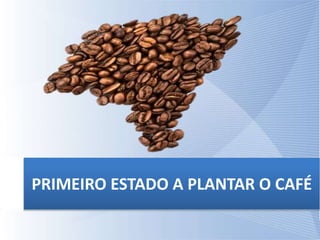 PRIMEIRO ESTADO A PLANTAR O CAFÉ
 