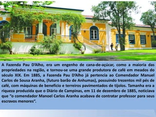 A Fazenda Pau D’Alho, era um engenho de cana-de-açúcar, como a maioria das
propriedades na região, e tornou-se uma grande produtora de café em meados do
século XIX. Em 1885, a Fazenda Pau D’Alho já pertencia ao Comendador Manuel
Carlos de Sousa Aranha, (futuro barão de Anhumas), possuindo trezentos mil pés de
café, com máquinas de benefício e terreiros pavimentados de tijolos. Tamanha era a
riqueza produzida que o Diário de Campinas, em 11 de dezembro de 1885, noticiava
que “o comendador Manoel Carlos Aranha acabava de contratar professor para seus
escravos menores“.
 