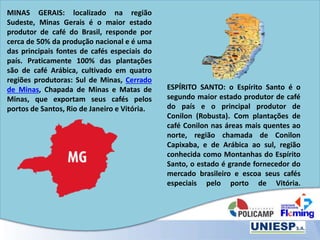 MINAS GERAIS: localizado na região
Sudeste, Minas Gerais é o maior estado
produtor de café do Brasil, responde por
cerca de 50% da produção nacional e é uma
das principais fontes de cafés especiais do
país. Praticamente 100% das plantações
são de café Arábica, cultivado em quatro
regiões produtoras: Sul de Minas, Cerrado
de Minas, Chapada de Minas e Matas de
Minas, que exportam seus cafés pelos
portos de Santos, Rio de Janeiro e Vitória.
ESPÍRITO SANTO: o Espírito Santo é o
segundo maior estado produtor de café
do país e o principal produtor de
Conilon (Robusta). Com plantações de
café Conilon nas áreas mais quentes ao
norte, região chamada de Conilon
Capixaba, e de Arábica ao sul, região
conhecida como Montanhas do Espírito
Santo, o estado é grande fornecedor do
mercado brasileiro e escoa seus cafés
especiais pelo porto de Vitória.
 