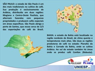SÃO PAULO: o estado de São Paulo é um
dos mais tradicionais no cultivo de café.
Sua produção é exclusivamente de
Arábica, distribuída em duas regiões:
Mogiana e Centro-Oeste Paulista, que
alternam fazendas com pequenas
propriedades e produzem cafés especiais
em áreas específicas. São Paulo abriga o
porto de Santos, que escoa cerca de 2/3
das exportações de café do Brasil.
BAHIA: o estado da Bahia está localizado na
região nordeste do Brasil, de clima quente e
temperaturas mais altas. São duas as regiões
produtoras de café no estado: Planalto da
Bahia e Cerrado da Bahia, onde se cultiva
Arábica. Ao sul do estado também há áreas
onde se produz café Conilon (Robusta).
 