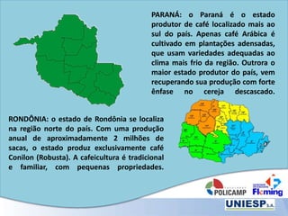 PARANÁ: o Paraná é o estado
produtor de café localizado mais ao
sul do país. Apenas café Arábica é
cultivado em plantações adensadas,
que usam variedades adequadas ao
clima mais frio da região. Outrora o
maior estado produtor do país, vem
recuperando sua produção com forte
ênfase no cereja descascado.
RONDÔNIA: o estado de Rondônia se localiza
na região norte do país. Com uma produção
anual de aproximadamente 2 milhões de
sacas, o estado produz exclusivamente café
Conilon (Robusta). A cafeicultura é tradicional
e familiar, com pequenas propriedades.
 