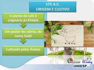 575 A.C.
ORIGEM E CULTIVO
A planta do café é
originária da Etiópia.
Um pastor de cabras, de
nome Kaldi
Cultivada pelos Árabes
 