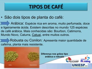 TIPOS DE CAFÉ
• São dois tipos de planta do café:
Arábica: Espécie rica em aroma, muito perfumada, doce
e ligeiramente ácida. Existem descritas no mundo 125 espécies
de café arábica. Mais conhecidas são: Bourbon, Catimorra,
Mundo Novo, Caturra, Catuai, entre muitos outros.
Robusta ou Conilon: Apresenta maior quantidade de
cafeína, planta mais resistente.
Diferença nos grãos tipo
arábica e robusta
 