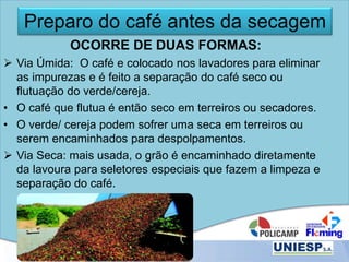 Preparo do café antes da secagem
OCORRE DE DUAS FORMAS:
 Via Úmida: O café e colocado nos lavadores para eliminar
as impurezas e é feito a separação do café seco ou
flutuação do verde/cereja.
• O café que flutua é então seco em terreiros ou secadores.
• O verde/ cereja podem sofrer uma seca em terreiros ou
serem encaminhados para despolpamentos.
 Via Seca: mais usada, o grão é encaminhado diretamente
da lavoura para seletores especiais que fazem a limpeza e
separação do café.
 