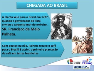 CHEGADA AO BRASIL
Com boatos ou não, Palheta trouxe o café
para o Brasil! E assim, a primeira plantação
de café em terras brasileiras
 
