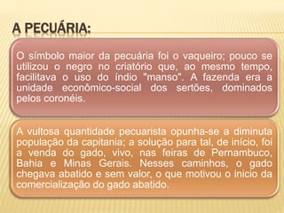 A PECUÁRIA:
O símbolo maior da pecuária foi o vaqueiro; pouco se
utilizou o negro no criatório que, ao mesmo tempo,
facilitava o uso do índio "manso". A fazenda era a
unidade econômico-social dos sertões, dominados
pelos coronéis.
A vultosa quantidade pecuarista opunha-se a diminuta
população da capitania; a solução para tal, de início, foi
a venda do gado, vivo, nas feiras de Pernambuco,
Bahia e Minas Gerais. Nesses caminhos, o gado
chegava abatido e sem valor, o que motivou o inicio da
comercialização do gado abatido.
 