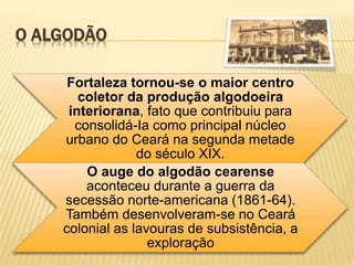O ALGODÃO
Fortaleza tornou-se o maior centro
coletor da produção algodoeira
interiorana, fato que contribuiu para
consolidá-Ia como principal núcleo
urbano do Ceará na segunda metade
do século XIX.
O auge do algodão cearense
aconteceu durante a guerra da
secessão norte-americana (1861-64).
Também desenvolveram-se no Ceará
colonial as lavouras de subsistência, a
exploração
 