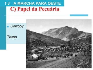 C) Papel da Pecuária
1.3 A MARCHA PARA OESTE
■ Cowboy
Texas
 