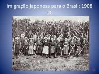 Imigração japonesa para o Brasil: 1908
DC
 