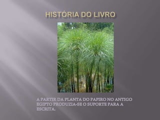 HISTÓRIA DO LIVROA PARTIR DA PLANTA DO PAPIRO NO ANTIGO EGIPTO PRODUZIA-SE O SUPORTE PARA A ESCRITA.