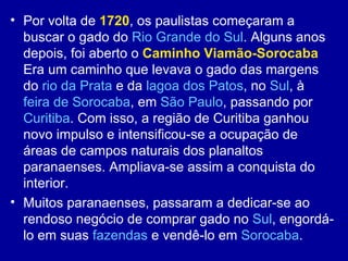 • Por volta de 1720, os paulistas começaram a
  buscar o gado do Rio Grande do Sul. Alguns anos
  depois, foi aberto o Caminho Viamão-Sorocaba
  Era um caminho que levava o gado das margens
  do rio da Prata e da lagoa dos Patos, no Sul, à
  feira de Sorocaba, em São Paulo, passando por
  Curitiba. Com isso, a região de Curitiba ganhou
  novo impulso e intensificou-se a ocupação de
  áreas de campos naturais dos planaltos
  paranaenses. Ampliava-se assim a conquista do
  interior.
• Muitos paranaenses, passaram a dedicar-se ao
  rendoso negócio de comprar gado no Sul, engordá-
  lo em suas fazendas e vendê-lo em Sorocaba.
 