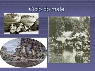 Ciclo do mate:
 