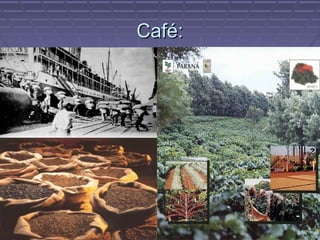 Café:
 