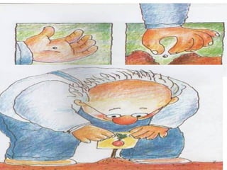 História do rabanete