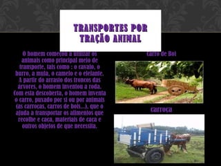 O homem começou a utilizar os animais como principal meio de transporte, tais como : o cavalo, o burro, a mula, o camelo e o elefante. A partir do arrasto dos troncos das árvores, o homem inventou a roda. Com esta descoberta, o homem inventa o carro, puxado por si ou por animais (as carroças, carros de bois...), que o ajuda a transportar os alimentos que recolhe e caça, materiais de caça e outros objetos de que necessita. Carro de Boi carroça TRANSPORTES POR TRAÇÃO ANIMAL 