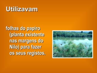 Utilizavam folhas do papiro (planta existente nas margens do Nilo) para fazer os seus registos. 