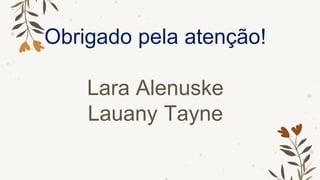 Obrigado pela atenção!
Lara Alenuske
Lauany Tayne
 