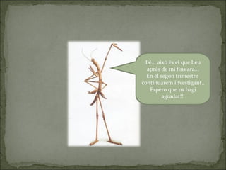 Bé... això és el que heu
après de mi fins ara...
En el segon trimestre
continuarem investigant..
Espero que us hagi
agradat!!!
 