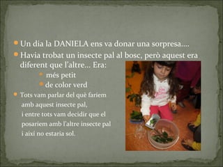 Un dia la DANIELA ens va donar una sorpresa....
Havia trobat un insecte pal al bosc, però aquest era
diferent que l’altre... Era:
 més petit
de color verd
 Tots vam parlar del què faríem
amb aquest insecte pal,
i entre tots vam decidir que el
posaríem amb l’altre insecte pal
i així no estaria sol.
 