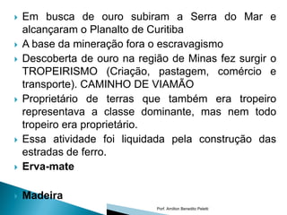    Em busca de ouro subiram a Serra do Mar e
    alcançaram o Planalto de Curitiba
   A base da mineração fora o escravagismo
   Descoberta de ouro na região de Minas fez surgir o
    TROPEIRISMO (Criação, pastagem, comércio e
    transporte). CAMINHO DE VIAMÃO
   Proprietário de terras que também era tropeiro
    representava a classe dominante, mas nem todo
    tropeiro era proprietário.
   Essa atividade foi liquidada pela construção das
    estradas de ferro.
   Erva-mate

   Madeira
                              Porf. Amilton Benedito Peletti
 