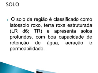     O solo da região é classificado como
    latossolo roxo, terra roxa estruturada
    (LR d6; TR) e apresenta solos
    profundos, com boa capacidade de
    retenção de água, aeração e
    permeabilidade.
 