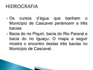  Os cursos d’água que banham o
  Município de Cascavel pertencem a três
  bacias:
 Bacia do rio Piquiri, bacia do Rio Paraná e
  bacia do rio Iguaçu. O mapa a seguir
  mostra o encontro destas três bacias no
  Município de Cascavel.
 