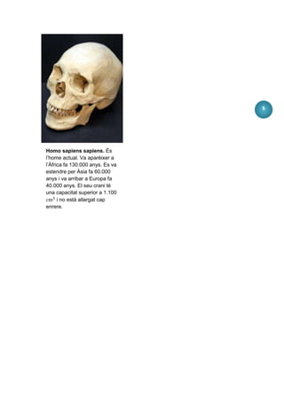 6




Homo sapiens sapiens. És
l’home actual. Va aparèixer a
l’Àfrica fa 130.000 anys. Es va
estendre per Àsia fa 60.000
anys i va arribar a Europa fa
40.000 anys. El seu crani té
una capacitat superior a 1.100
      i no està allargat cap
enrere.
 