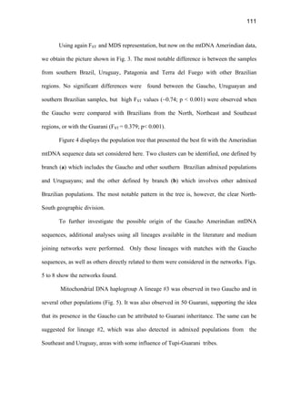 111
Using again FST and MDS representation, but now on the mtDNA Amerindian data,
we obtain the picture shown in Fig. 3. The most notable difference is between the samples
from southern Brazil, Uruguay, Patagonia and Terra del Fuego with other Brazilian
regions. No significant differences were found between the Gaucho, Uruguayan and
southern Brazilian samples, but high FST values (~0.74; p  0.001) were observed when
the Gaucho were compared with Brazilians from the North, Northeast and Southeast
regions, or with the Guarani (FST = 0.379; p 0.001).
Figure 4 displays the population tree that presented the best fit with the Amerindian
mtDNA sequence data set considered here. Two clusters can be identified, one defined by
branch (a) which includes the Gaucho and other southern Brazilian admixed populations
and Uruguayans; and the other defined by branch (b) which involves other admixed
Brazilian populations. The most notable pattern in the tree is, however, the clear North-
South geographic division.
To further investigate the possible origin of the Gaucho Amerindian mtDNA
sequences, additional analyses using all lineages available in the literature and medium
joining networks were performed. Only those lineages with matches with the Gaucho
sequences, as well as others directly related to them were considered in the networks. Figs.
5 to 8 show the networks found.
Mitochondrial DNA haplogroup A lineage #3 was observed in two Gaucho and in
several other populations (Fig. 5). It was also observed in 50 Guarani, supporting the idea
that its presence in the Gaucho can be attributed to Guarani inheritance. The same can be
suggested for lineage #2, which was also detected in admixed populations from the
Southeast and Uruguay, areas with some influence of Tupi-Guarani tribes.
 