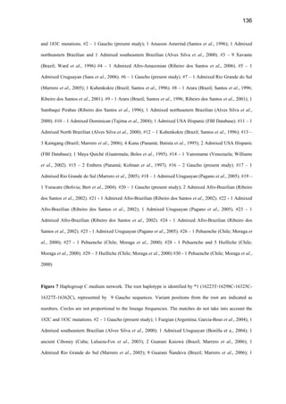 136
and 183C mutations. #2 – 1 Gaucho (present study); 1 Amazon Amerind (Santos et al., 1996); 1 Admixed
northeastern Brazilian and 1 Admixed southeastern Brazilian (Alves Silva et al., 2000). #3 – 9 Xavante
(Brazil; Ward et al., 1996) #4 – 1 Admixed Afro-Amazonian (Ribeiro dos Santos et al., 2006). #5 – 1
Admixed Uruguayan (Sans et al., 2006). #6 – 1 Gaucho (present study). #7 – 1 Admixed Rio Grande do Sul
(Marrero et al., 2005); 1 Kubenkokre (Brazil; Santos et al., 1996). #8 – 1 Arara (Brazil; Santos et al., 1996;
Ribeiro dos Santos et al., 2001). #9 - 1 Arara (Brazil; Santos et al., 1996; Ribeiro dos Santos et al., 2001); 1
Sambaqui Pirabas (Ribeiro dos Santos et al., 1996); 1 Admixed northeastern Brazilian (Alves Silva et al.,
2000). #10 – 1 Admixed Dominican (Tajima et al., 2004); 1 Admixed USA Hispanic (FBI Database). #11 – 1
Admixed North Brazilian (Alves Silva et al., 2000). #12 – 1 Kubenkokre (Brazil; Santos et al., 1996); #13 –
3 Kaingang (Brazil; Marrero et al., 2006); 4 Kuna (Panamá; Batista et al., 1995); 2 Admixed USA Hispanic
(FBI Database); 1 Maya Quiché (Guatemala; Boles et al., 1995). #14 – 1 Yanomame (Venezuela; Williams
et al., 2002). #15 – 2 Embera (Panamá; Kolman et al., 1997). #16 – 2 Gaucho (present study). #17 – 1
Admixed Rio Grande do Sul (Marrero et al., 2005). #18 – 1 Admixed Uruguayan (Pagano et al., 2005). #19 –
1 Yuracare (Bolivia; Bert et al., 2004). #20 – 1 Gaucho (present study); 2 Admixed Afro-Brazilian (Ribeiro
dos Santos et al., 2002). #21 - 1 Admixed Afro-Brazilian (Ribeiro dos Santos et al., 2002). #22 - 1 Admixed
Afro-Brazilian (Ribeiro dos Santos et al., 2002); 1 Admixed Uruguayan (Pagano et al., 2005). #23 – 1
Admixed Afro-Brazilian (Ribeiro dos Santos et al., 2002). #24 - 1 Admixed Afro-Brazilian (Ribeiro dos
Santos et al., 2002). #25 - 1 Admixed Uruguayan (Pagano et al., 2005). #26 – 1 Pehuenche (Chile; Moraga et
al., 2000); #27 - 1 Pehuenche (Chile; Moraga et al., 2000). #28 - 1 Pehuenche and 5 Huilliche (Chile;
Moraga et al., 2000). #29 – 3 Huilliche (Chile; Moraga et al., 2000) #30 - 1 Pehuenche (Chile; Moraga et al.,
2000)
Figure 7 Haplogroup C medium network. The root haplotype is identified by *1 (16223T-16298C-16325C-
16327T-16362C), represented by 9 Gaucho sequences. Variant positions from the root are indicated as
numbers. Circles are not proportional to the lineage frequencies. The matches do not take into account the
182C and 183C mutations. #2 – 1 Gaucho (present study); 1 Fuegian (Argentina; Garcia-Bour et al., 2004); 1
Admixed southeastern Brazilian (Alves Silva et al., 2000); 1 Admixed Uruguayan (Bonilla et a., 2004); 1
ancient Ciboney (Cuba; Lalueza-Fox et al., 2003); 2 Guarani Kaiowá (Brazil; Marrero et al., 2006); 1
Admixed Rio Grande do Sul (Marrero et al., 2005); 9 Guarani Ñandeva (Brazil; Marrero et al., 2006); 1
 