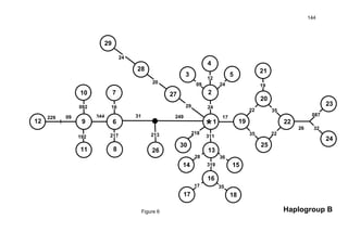144
229 09 344
217
16
192
092
31 249 17
311
319
3628
24
09
12
24
35 22
19
26
087
32
3522
3517
213 218
29
20
24
*112
10 7
6
11
9
8
3
2
15
13
14
21
20
17
16
18
19
25
24
23
22
26
30
27
29
28
4
5
Haplogroup BFigure 6
 