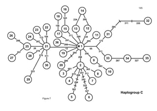 145
1220
270
05
278
207
172 104
223
311
357
209
298
209
234
234
295
093
256
311
172
295
311 335
327287
075
363051
298
311
*
13
28
26
21
12
11
27
25
22
10
9
24
23
4
8
7
3
2
1
29
30
14
33 3534
32
31
5 6
206
294
362
241
242
325
327
20
294
296
19
15
16
17
18
156
343
311
291
36
288
Haplogroup C
Figure 7
 