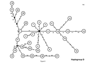 146
17
14
29
085
* 18147
235
184A
189
357
291
290311
087
142111
362
192
200T
142
11
109
8
7
6
5
3
2
1
12
13 14
15
16
153
325
29
31 30
32
311
342
362
241
242
304
294
296
17
187
189
086
286
217
18
19
21
25 26 2724 092 189
250
20
22
23
209
362
189
4
145
179
295
325
270 207
28
Haplogroup D
Figure 8
 