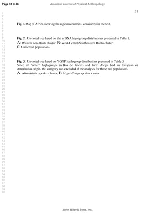 31
Fig.1. Map of Africa showing the regions/countries considered in the text.
Fig. 2. Unrooted tree based on the mtDNA haplogroup distributions presented in Table 1.
A: Western non-Bantu cluster; B: West-Central/Southeastern Bantu cluster;
C: Cameroon populations.
Fig. 3. Unrooted tree based on Y-SNP haplogroup distributions presented in Table 3.
Since all “other” haplogroups in Rio de Janeiro and Porto Alegre had an European or
Amerindian origin, this category was excluded of the analyses for these two populations.
A: Afro-Asiatic speaker cluster; B: Niger-Congo speaker cluster.
Page 31 of 36
John Wiley  Sons, Inc.
American Journal of Physical Anthropology
1
2
3
4
5
6
7
8
9
10
11
12
13
14
15
16
17
18
19
20
21
22
23
24
25
26
27
28
29
30
31
32
33
34
35
36
37
38
39
40
41
42
43
44
45
46
47
48
49
50
51
52
53
54
55
56
57
58
59
60
 