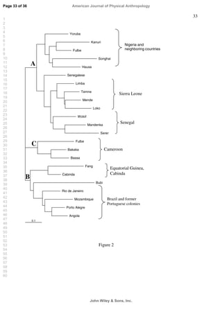 33
0.1
Yoruba
Kanuri
Fulbe1
Songhai
Hausa
Senegalese
Limba
Temne
Mende
Loko
Wolof
Mandenka
Serer
Fulbe
Bakaka
Bassa
Fang
Cabinda
Bubi
Rio de Janeiro
Mozambique
Porto Alegre
Angola
Nigeria and
neighboring countries
A
Sierra Leone
Senegal
Cameroon
C
B
Equatorial Guinea,
Cabinda
Brazil and former
Portuguese colonies
Figure 2
Page 33 of 36
John Wiley  Sons, Inc.
American Journal of Physical Anthropology
1
2
3
4
5
6
7
8
9
10
11
12
13
14
15
16
17
18
19
20
21
22
23
24
25
26
27
28
29
30
31
32
33
34
35
36
37
38
39
40
41
42
43
44
45
46
47
48
49
50
51
52
53
54
55
56
57
58
59
60
 