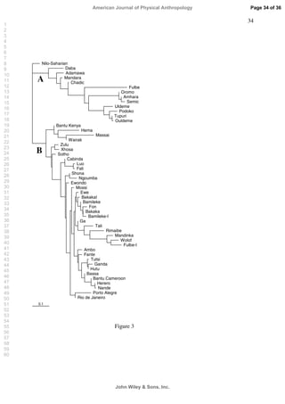 34
0.1
Nilo-Saharian
Daba
Adamawa
Mandara
Chadic
Fulbe
Oromo
Amhara
Semic
Uldeme
Podoko
Tupuri
Ouldeme
Bantu Kenya
Hema
Massai
Wairak
Zulu
Xhosa
Sotho
Cabinda
Luo
Fali
Shona
Ngoumba
Ewondo
Mossi
Ewe
BakakaI
Bamileke
Fon
Bakaka
Bamileke-I
Ga
Tali
Rimaibe
Mandinka
Wolof
Fulbe-I
Ambo
Fante
Tutsi
Ganda
Hutu
Bassa
Bantu Cameroon
Herero
Nande
Porto Alegre
Rio de Janeiro
A
B
Figure 3
Page 34 of 36
John Wiley  Sons, Inc.
American Journal of Physical Anthropology
1
2
3
4
5
6
7
8
9
10
11
12
13
14
15
16
17
18
19
20
21
22
23
24
25
26
27
28
29
30
31
32
33
34
35
36
37
38
39
40
41
42
43
44
45
46
47
48
49
50
51
52
53
54
55
56
57
58
59
60
 