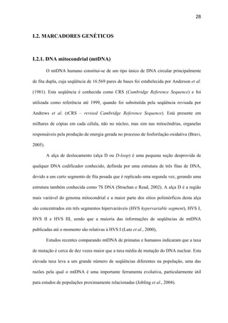 28
I.2. MARCADORES GENÉTICOS
I.2.1. DNA mitocondrial (mtDNA)
O mtDNA humano constitui-se de um tipo único de DNA circular principalmente
de fita dupla, cuja seqüência de 16.569 pares de bases foi estabelecida por Anderson et al.
(1981). Esta seqüência é conhecida como CRS (Cambridge Reference Sequence) e foi
utilizada como referência até 1999, quando foi subsitutída pela seqüência revisada por
Andrews et al. (rCRS – revised Cambridge Reference Sequence). Está presente em
milhares de cópias em cada célula, não no núcleo, mas sim nas mitocôndrias, organelas
responsáveis pela produção de energia gerada no processo de fosforilação oxidativa (Bravi,
2005).
A alça de deslocamento (alça D ou D-loop) é uma pequena seção desprovida de
qualquer DNA codificador conhecido, definida por uma estrutura de três fitas de DNA,
devido a um curto segmento de fita pesada que é replicado uma segunda vez, gerando uma
estrutura também conhecida como 7S DNA (Strachan e Read, 2002). A alça D é a região
mais variável do genoma mitocondrial e a maior parte dos sítios polimórficos desta alça
são concentrados em três segmentos hipervariáveis (HVS hypervariable segment), HVS I,
HVS II e HVS III, sendo que a maioria das informações de seqüências de mtDNA
publicadas até o momento são relativas à HVS I (Lutz et al., 2000),
Estudos recentes comparando mtDNA de primatas e humanos indicaram que a taxa
de mutação é cerca de dez vezes maior que a taxa média de mutação do DNA nuclear. Esta
elevada taxa leva a um grande número de seqüências diferentes na população, uma das
razões pela qual o mtDNA é uma importante ferramenta evolutiva, particularmente útil
para estudos de populações proximamente relacionadas (Jobling et al., 2004).
 