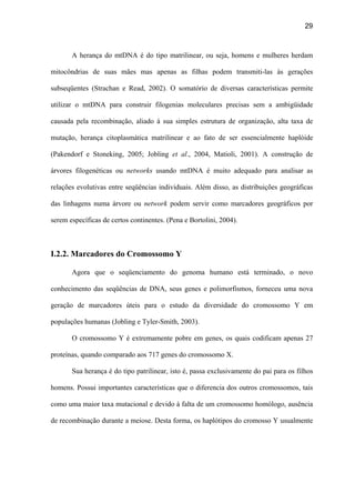 29
A herança do mtDNA é do tipo matrilinear, ou seja, homens e mulheres herdam
mitocôndrias de suas mães mas apenas as filhas podem transmiti-las às gerações
subseqüentes (Strachan e Read, 2002). O somatório de diversas características permite
utilizar o mtDNA para construir filogenias moleculares precisas sem a ambigüidade
causada pela recombinação, aliado à sua simples estrutura de organização, alta taxa de
mutação, herança citoplasmática matrilinear e ao fato de ser essencialmente haplóide
(Pakendorf e Stoneking, 2005; Jobling et al., 2004, Matioli, 2001). A construção de
árvores filogenéticas ou networks usando mtDNA é muito adequado para analisar as
relações evolutivas entre seqüências individuais. Além disso, as distribuições geográficas
das linhagens numa árvore ou network podem servir como marcadores geográficos por
serem específicas de certos continentes. (Pena e Bortolini, 2004).
I.2.2. Marcadores do Cromossomo Y
Agora que o seqüenciamento do genoma humano está terminado, o novo
conhecimento das seqüências de DNA, seus genes e polimorfismos, forneceu uma nova
geração de marcadores úteis para o estudo da diversidade do cromossomo Y em
populações humanas (Jobling e Tyler-Smith, 2003).
O cromossomo Y é extremamente pobre em genes, os quais codificam apenas 27
proteínas, quando comparado aos 717 genes do cromossomo X.
Sua herança é do tipo patrilinear, isto é, passa exclusivamente do pai para os filhos
homens. Possui importantes características que o diferencia dos outros cromossomos, tais
como uma maior taxa mutacional e devido à falta de um cromossomo homólogo, ausência
de recombinação durante a meiose. Desta forma, os haplótipos do cromosso Y usualmente
 