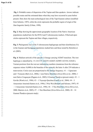 ForPeerReview
31
Fig. 1. Probable routes of dispersion of the Tupian and Jêan speakers. Arrows indicate
possible routes and the estimated dates when they may have occurred in years before
present. Dots show the main archeological sites of the Tupi-Guarani culture (modified
from Schmitz, 1997), while the circle represents the probable region of origin of the
Jêan linguistic family (Urban, 1998).
Fig. 2. Map showing the approximate geographic location of the Native American
populations studied here for the HVS-I and Y-chromosome markers. Filled and open
circles represent the Tupian and Jêan villages, respectively.
Fig. 3. Phylogenetic tree of the Y-chromosome haplogroups and their distributions (%)
in the Guarani and Kaingang populations studied here and those tested by Bortolini et
al. (2003).
Fig. 4. Medium network of the specific A lineage carrying 16266T transition. The root
haplotype is identified by #1 (16111T-16223T-16266T-16290T-16319A-16362C).
Variant positions from the root are indicated as numbers (mutations from the reference
sequence minus 16,000) in the branches of the network; the letter A after 239 indicates a
transversion. Circle sizes are proportional to the lineage frequency. #1 – 1 Ignaciano
and 1 Yuracare (Bert et al., 2004); 1 non-Native Brazilian (Alves-Silva et al., 2000); 1
non-Native Uruguayan (Pagano et al., 2005); 8 Guarani Ñandeva (present study). #2 – 1
Gavião (Ward et al., 1996). #3 – 1 Tayacaja Quechua (Fuselli et al., 2004). #4 – 3
Amazonian Amerind (Santos et al., 1996); 2 Wai Wai (Bonatto and Salzano, 1997). #5
– 1 Amazonian Amerind (Santos et al., 1996). #6 – 3 Neo Brazilian (Alves-Silva et al.,
2000; Marrero et al., 2005). #7 – 1 Neo Brazilian (Alves-Silva et al., 2000). #8 – 14
Guarani Ñandeva (present study).
Page 31 of 35
John Wiley  Sons, Inc.
American Journal of Physical Anthropology
1
2
3
4
5
6
7
8
9
10
11
12
13
14
15
16
17
18
19
20
21
22
23
24
25
26
27
28
29
30
31
32
33
34
35
36
37
38
39
40
41
42
43
44
45
46
47
48
49
50
51
52
53
54
55
56
57
58
59
60
 