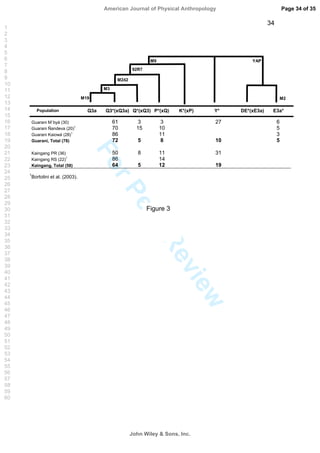 ForPeerReview
34
Guarani M`byá (30) 61 3 3 27 6
Guarani Ñandeva (20)1
70 15 10 5
Guarani Kaiowá (28)1
86 11 3
Guarani, Total (78) 72 5 8 10 5
Kaingang PR (36) 50 8 11 31
Kaingang RS (22)1
86 14
Kaingang, Total (58) 64 5 12 19
1
Bortolini et al. (2003).
Q3a E3a*DE*(xE3a)Y*Q3*(xQ3a) Q*(xQ3) P*(xQ) K*(xP)Population
M19
M3
M242
92R7
M9 YAP
M2
Figure 3
Page 34 of 35
John Wiley  Sons, Inc.
American Journal of Physical Anthropology
1
2
3
4
5
6
7
8
9
10
11
12
13
14
15
16
17
18
19
20
21
22
23
24
25
26
27
28
29
30
31
32
33
34
35
36
37
38
39
40
41
42
43
44
45
46
47
48
49
50
51
52
53
54
55
56
57
58
59
60
 