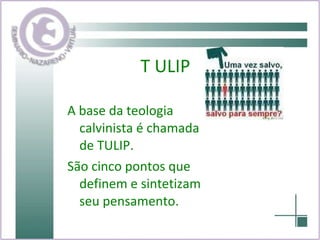 T ULIP A base da teologia calvinista é chamada de TULIP. São cinco pontos que definem e sintetizam seu pensamento. 