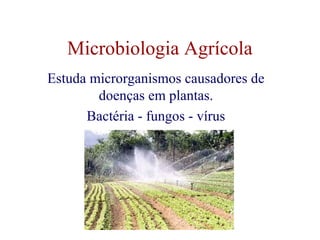 Microbiologia Agrícola 
Estuda microrganismos causadores de 
doenças em plantas. 
Bactéria - fungos - vírus 
 