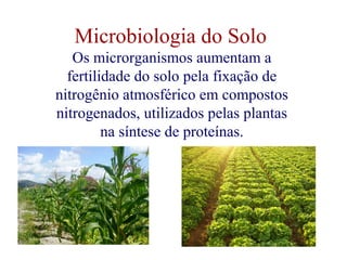 Microbiologia do Solo 
Os microrganismos aumentam a 
fertilidade do solo pela fixação de 
nitrogênio atmosférico em compostos 
nitrogenados, utilizados pelas plantas 
na síntese de proteínas. 
 